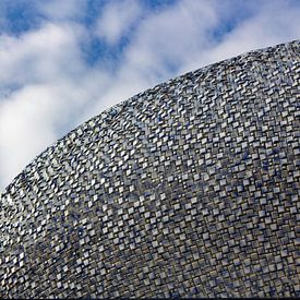 Dach aus tausend Spiegeln von Michiel Zeeman