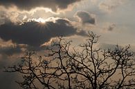 The sun breaks through and chases away the thunderstorms by Annavee thumbnail
