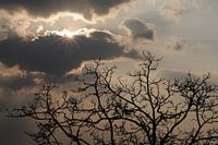 The sun breaks through and chases away the thunderstorms
