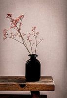 Still life vase with plasterweed