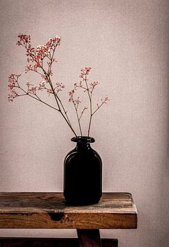 Still life vase with plasterweed by Marjolein van Middelkoop