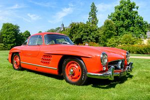 Mercedes Benz 300 SL Gullwing van Sjoerd van der Wal Fotografie