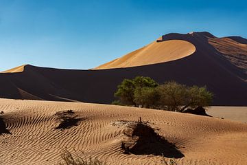 The dune by Alex Neumayer