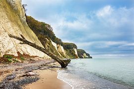 Die Ostseeküste auf der Insel Rügen im Herbst