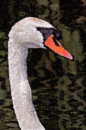 Portrait of a mute swan (art)
