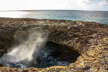 Westpunt Curaçao van Nats Otten