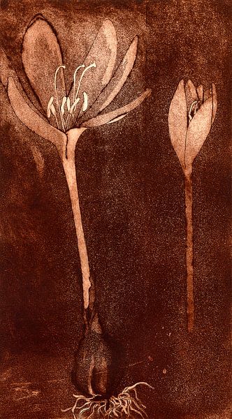 Herfst tijd, Ets van Helga Pohlen - ThingArt