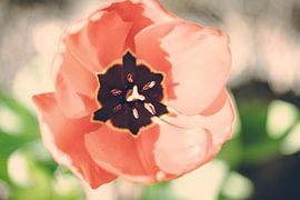 Rathenow „Stadt der Optik“ von David Krause