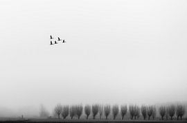 Minimalistisch landschap van Michel Van Nederveen