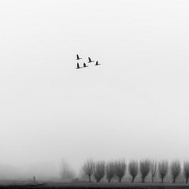 Minimalistisch landschap by Michel Van Nederveen