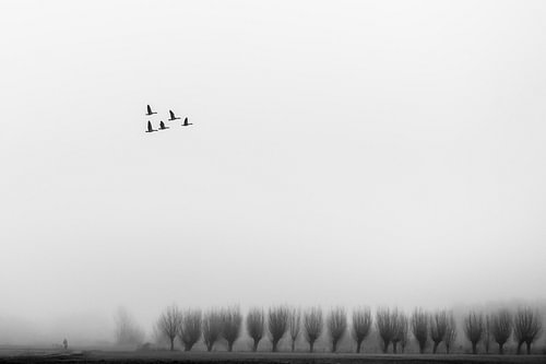 Minimalistisch landschap