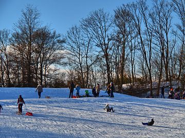 Plaisir de la luge