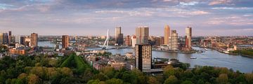 Skyline Rotterdam tijdens zonsondergang van Niels Dam