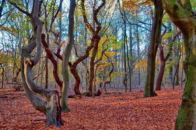 Landgoed Mildenburg, Oostvoorne par Dick Kattestaart