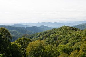 Great Smoky Mountains