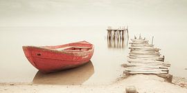 Resting Red by Karina Brouwer