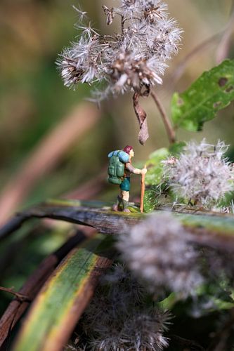 Small steps, big landscape