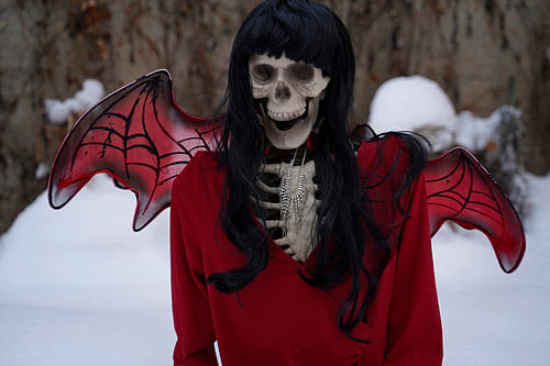 Duivel bruid skelet met rode jurk en duivel vleugels in de sneeuw