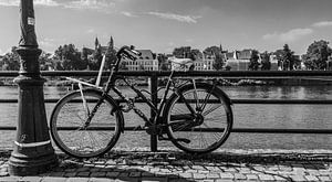 Maastricht, fiets langs de maas
