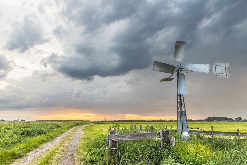 Windmühle in Jisperveld von Nico Buijs