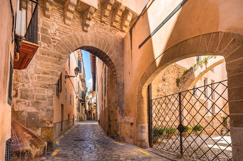 Idyllic narrow street at the old historic city center of Palma de Mallorca by Alex Winter