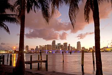 Ligne d'horizon du centre-ville de Miami, Floride sur Peter Schickert