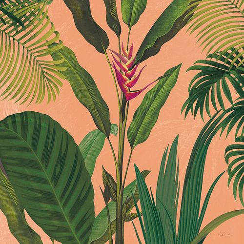 Dramatic Tropical II Boho, Sue Schlabach