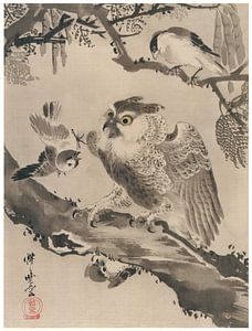 Kawanabe Kyōsai - Eule, die von kleinen Vögeln verspottet wird