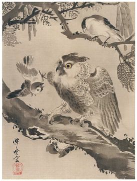 Kawanabe Kyōsai - owl taunted by small birds by Peter Balan