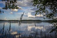 L'île de Kalliosaari  par 3,14 Photography Aperçu