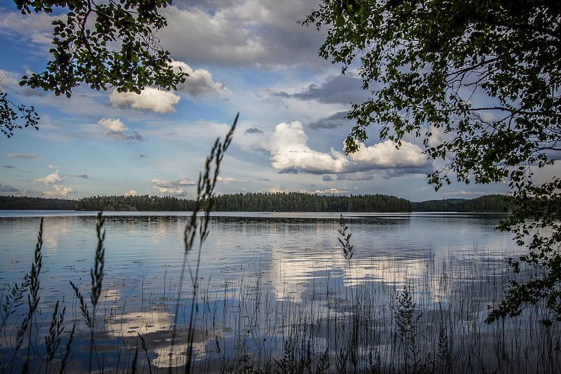 L'île de Kalliosaari  par 3,14 Photography