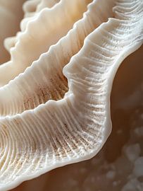 Golvende koralen van haroulita