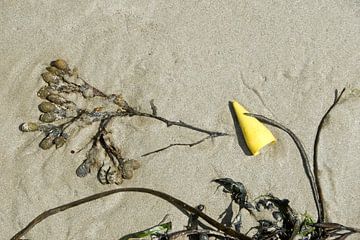 stilleven van zand, wier en plastic