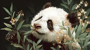 Pandabär / Pandabär