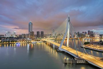 Rotterdam Erasmus Bridge and Skyline by Michael Valjak