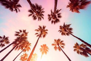 Palmbomen bij zonsondergang in Beverly Hills van Philippe HUGONNARD