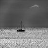 Stilte bij Zonsondergang op de Waddenzee van Texel eXperience