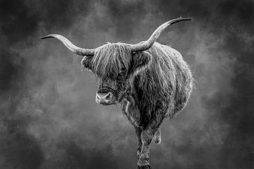 Schotse hooglander op de heide in zwart wit. van Janny Beimers