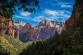 Looking into Zion National park Utah by Marja Spiering