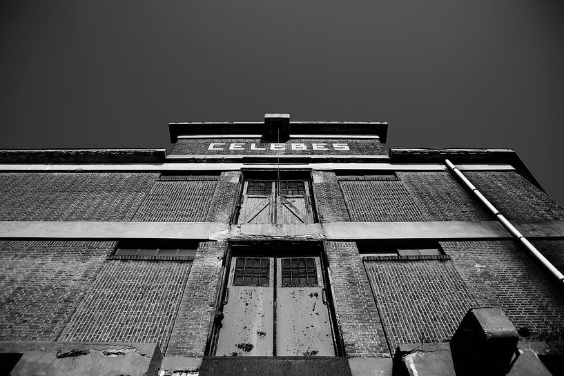 Celebes by Aline van Weert