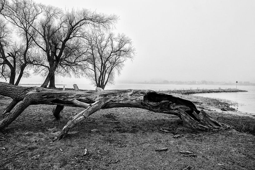 Landschap met mist en oude boom in Werkendam van Rob van der Teen