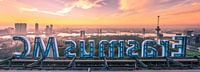 Erasmus MC en skyline Rotterdam (panorama) van Prachtig Rotterdam thumbnail