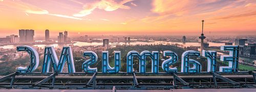 Erasmus MC en skyline Rotterdam (panorama) van Prachtig Rotterdam