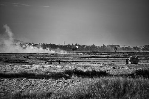 Moisson et fumée dans les rizières