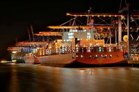 Hamburg - Containerschip bij Burchardkai pier