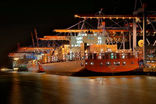 Hamburg - Container ship at the Burchardkai