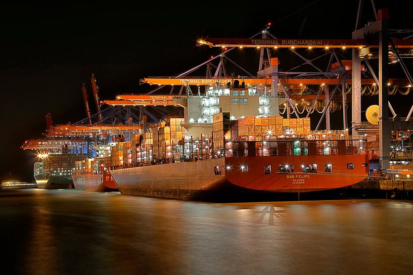 Hamburg - Container ship at the Burchardkai by Sabine Wagner
