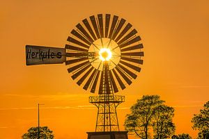 Die Windmühle „ "Herkules" “ bei Sonnenuntergang