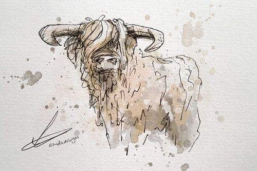 Painting of a Scottish highlander - pen drawing with black ink combined with watercolours