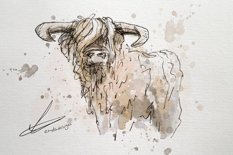 Schilderij van schotse hooglander - pen tekening met zwarte inkt gecombineerd met aquarel kleuren van Emiel de Lange